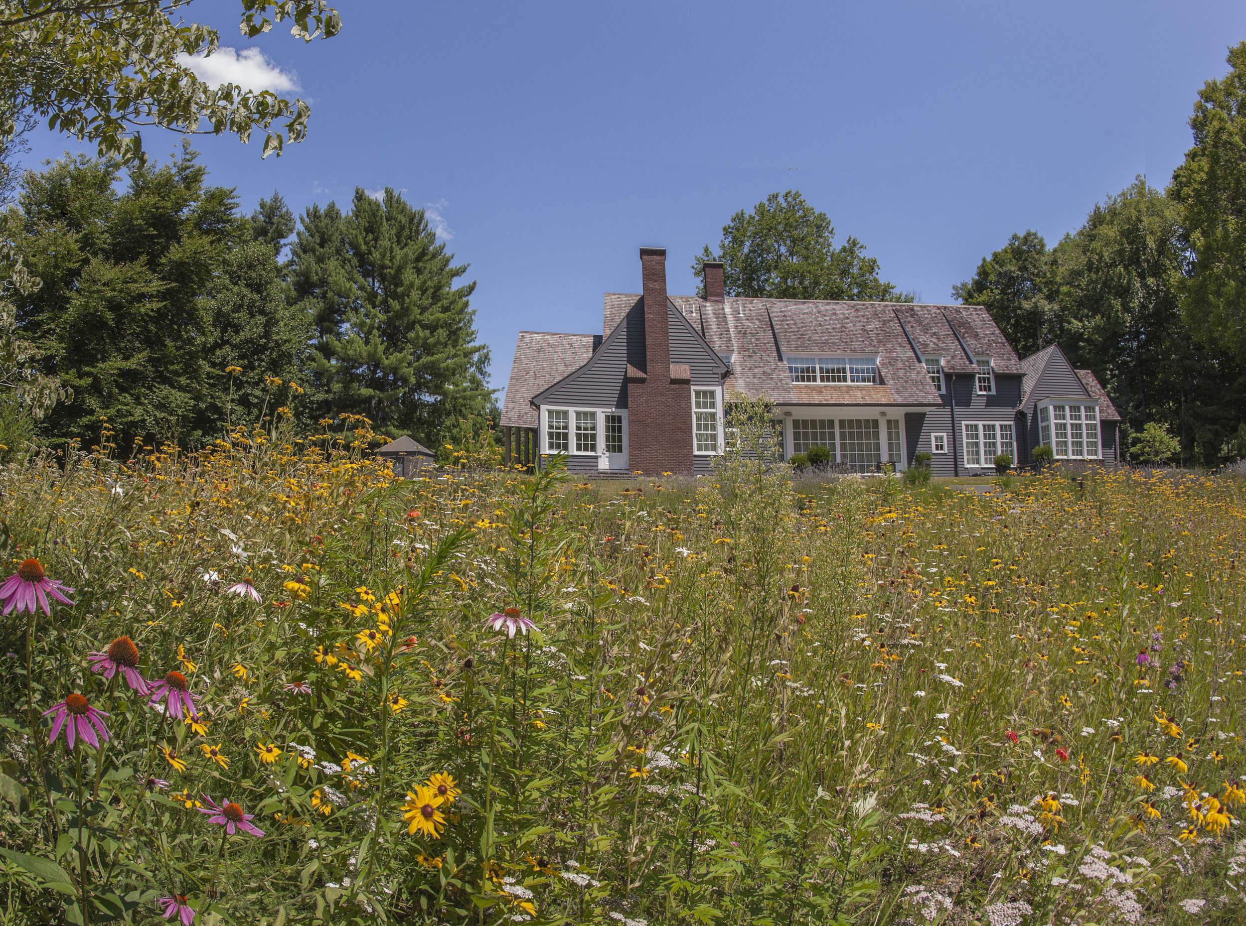 50 Close _ Wildflowers_house view.jpg