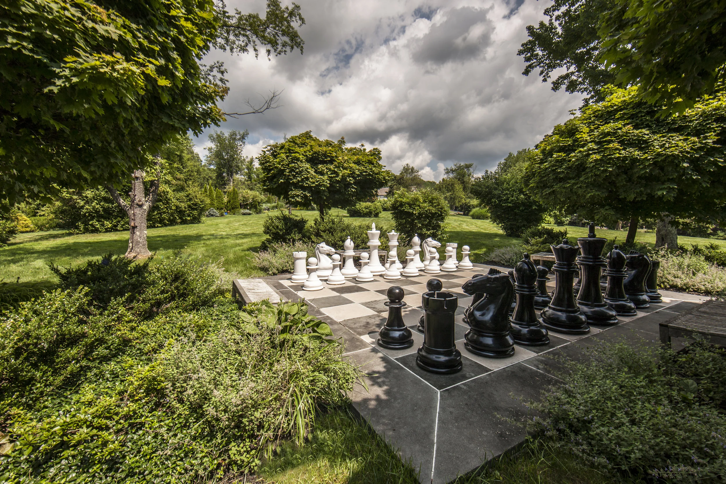 Edelstein Chess.jpg