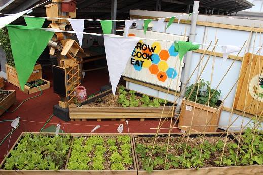 Our roof garden, open for tours on Saturday June 18th