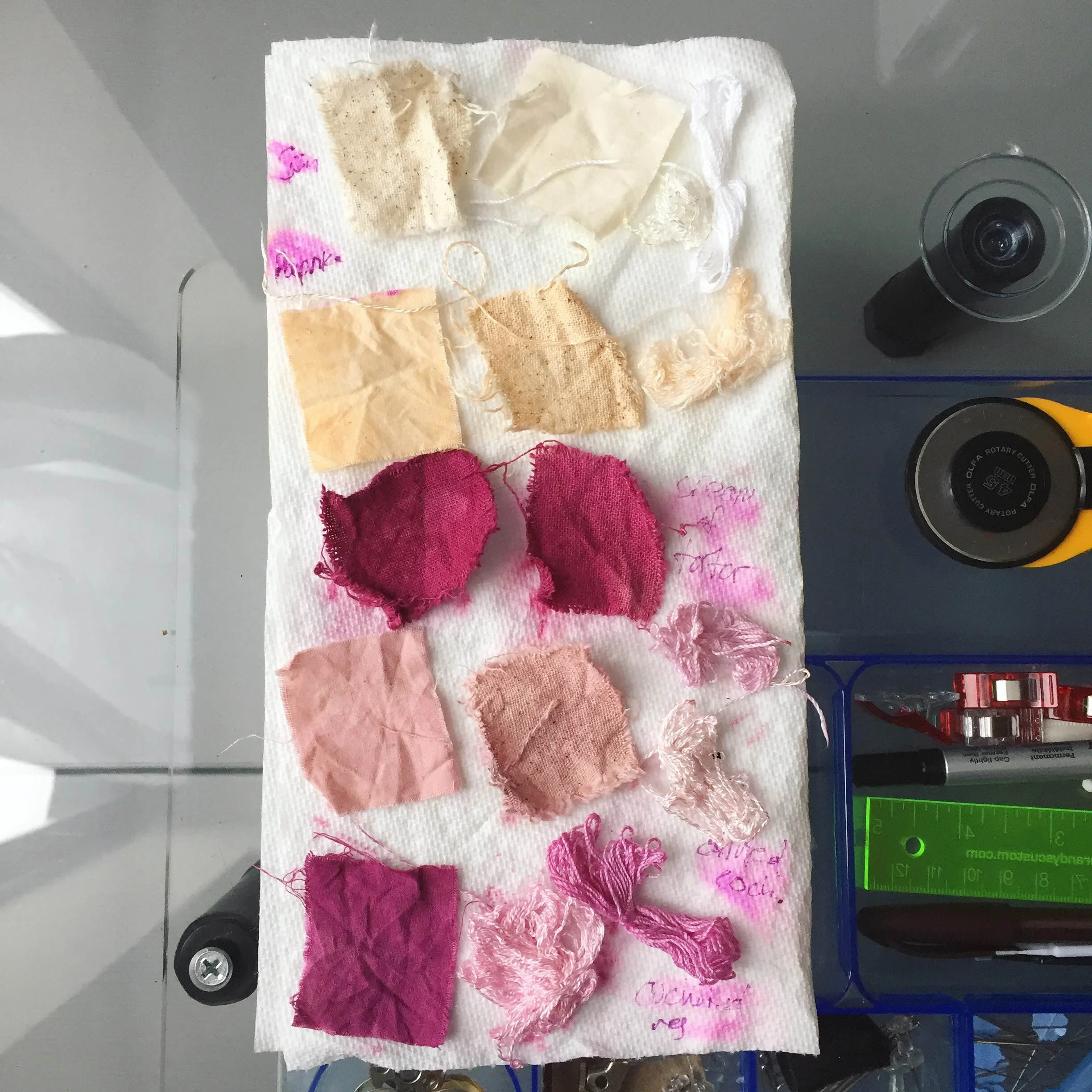 cochineal insect dyeing // color samples