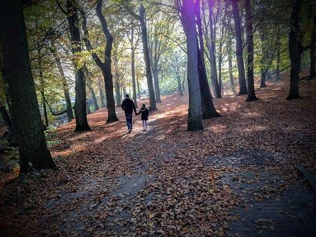 DadWoods.jpg