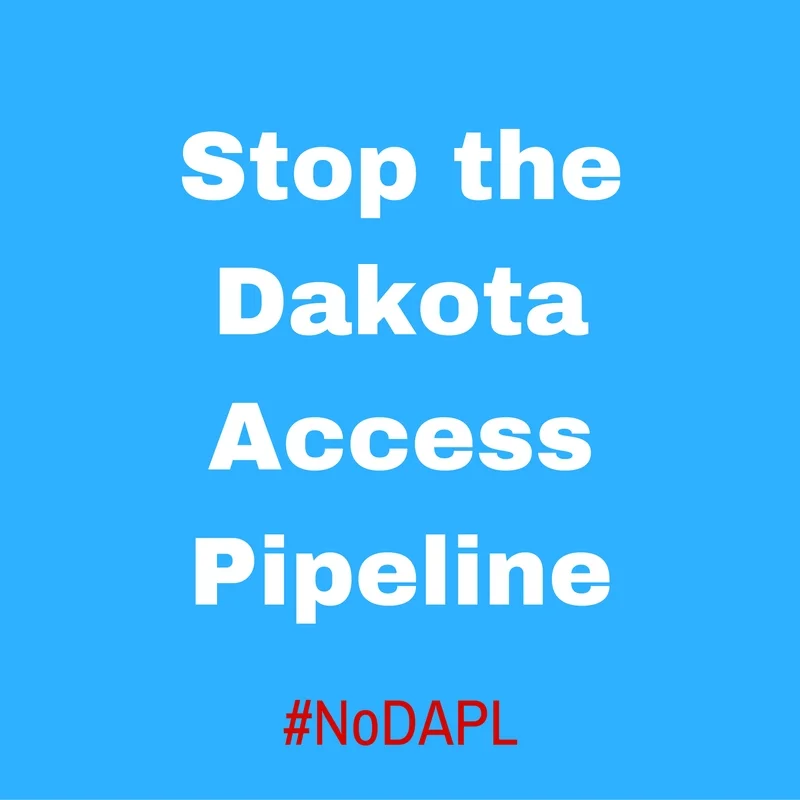 Add Your Name to the Petition to Stop the DAPL