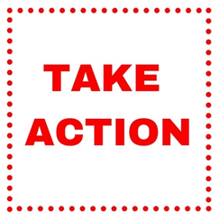 Action Item: Submit a Comment to TRC
