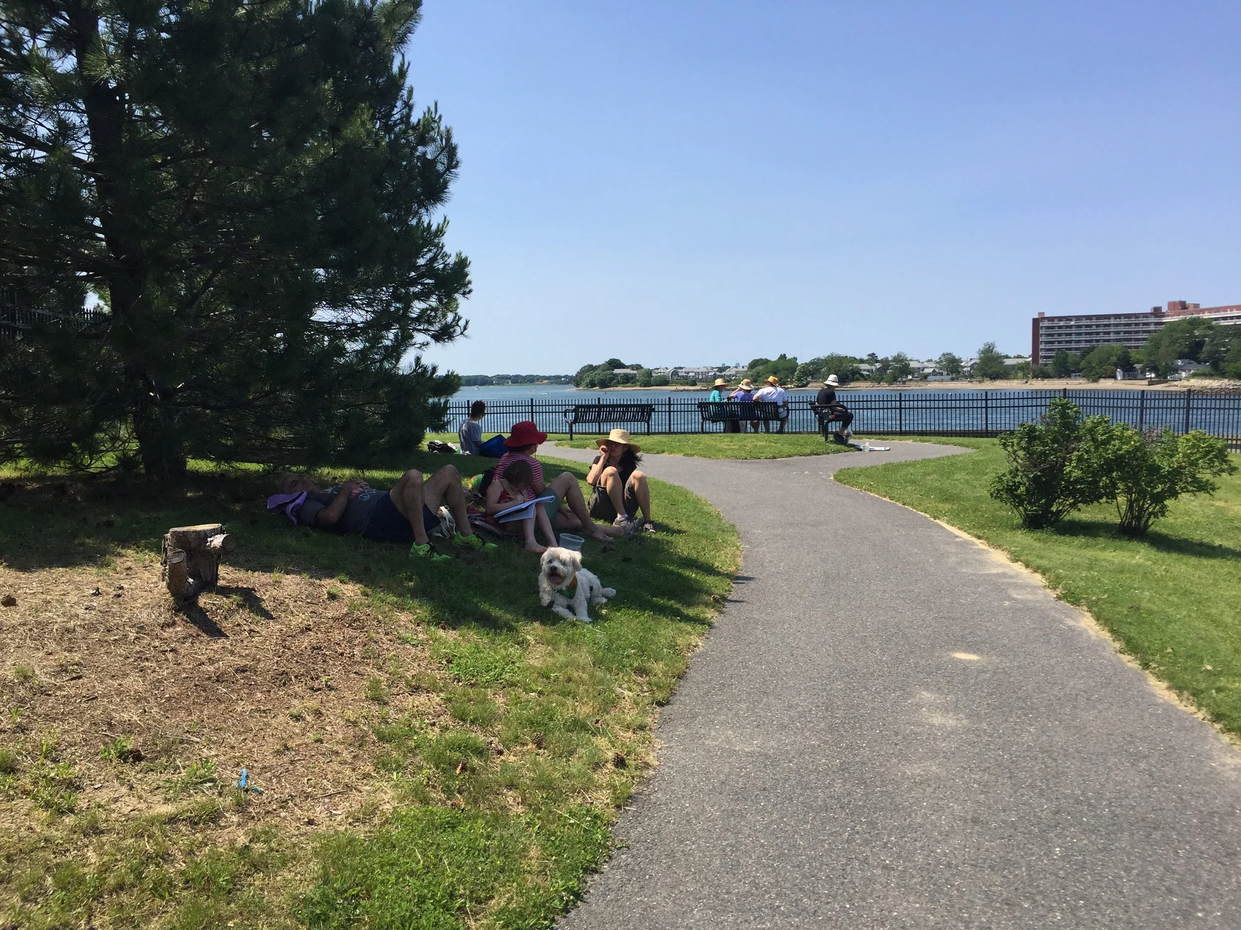 Mayor Hedlund sends letter to CZM in response to lack of need