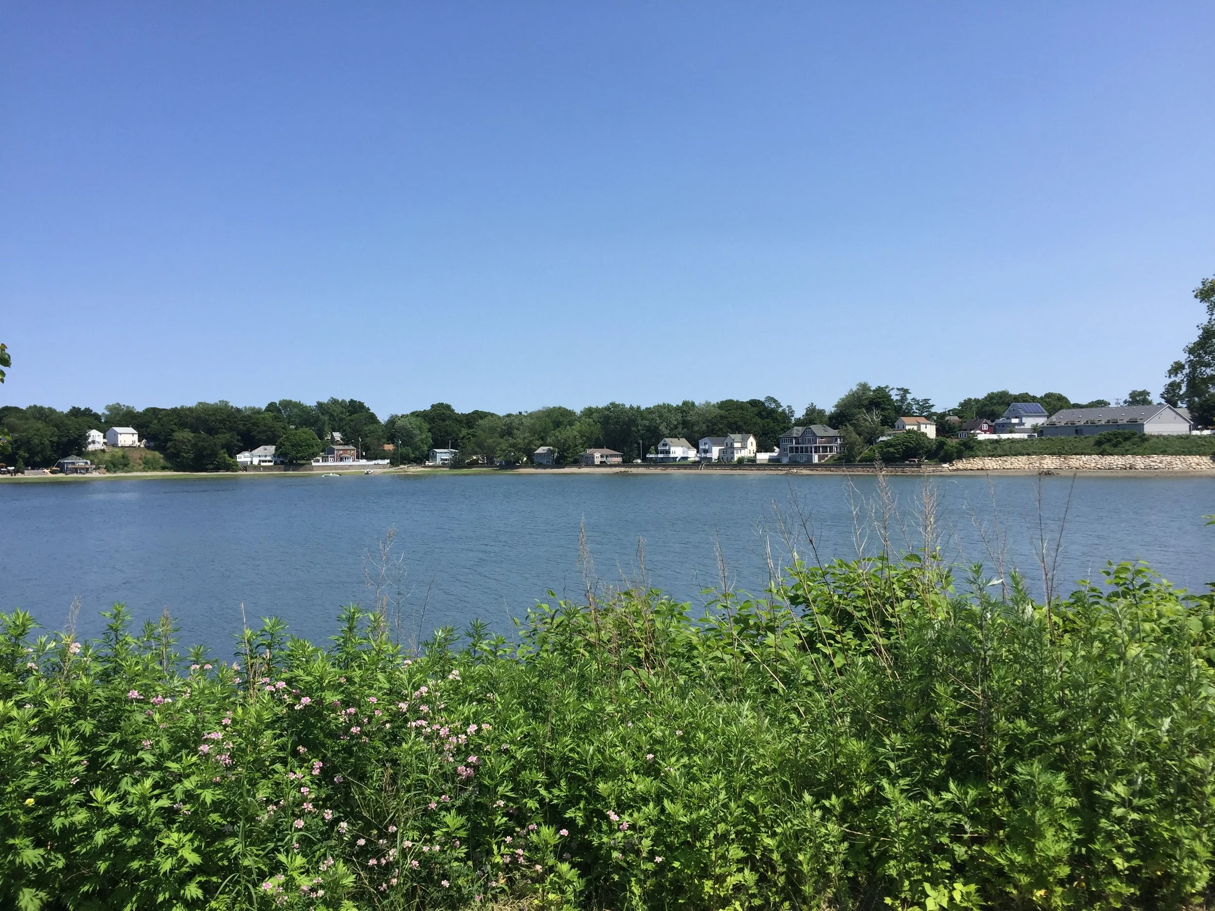 Weymouth School Committee opposes compressor station