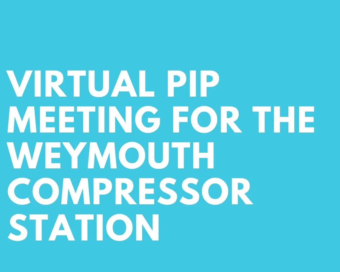 PIP Video + Comments due today!