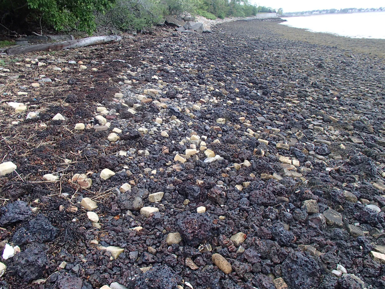 Study finds fossil fuels cause high number of deaths