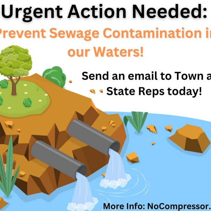 Urgent Action Needed: Prevent Sewage Contamination in our Waters!

Send an email to MassDEP, EPA, Town of Braintree, and MWRA Officials Today

Instructions and template email here: https://www.nocompressor.com/news/2024/4/3/take-action-prevent-sewage
