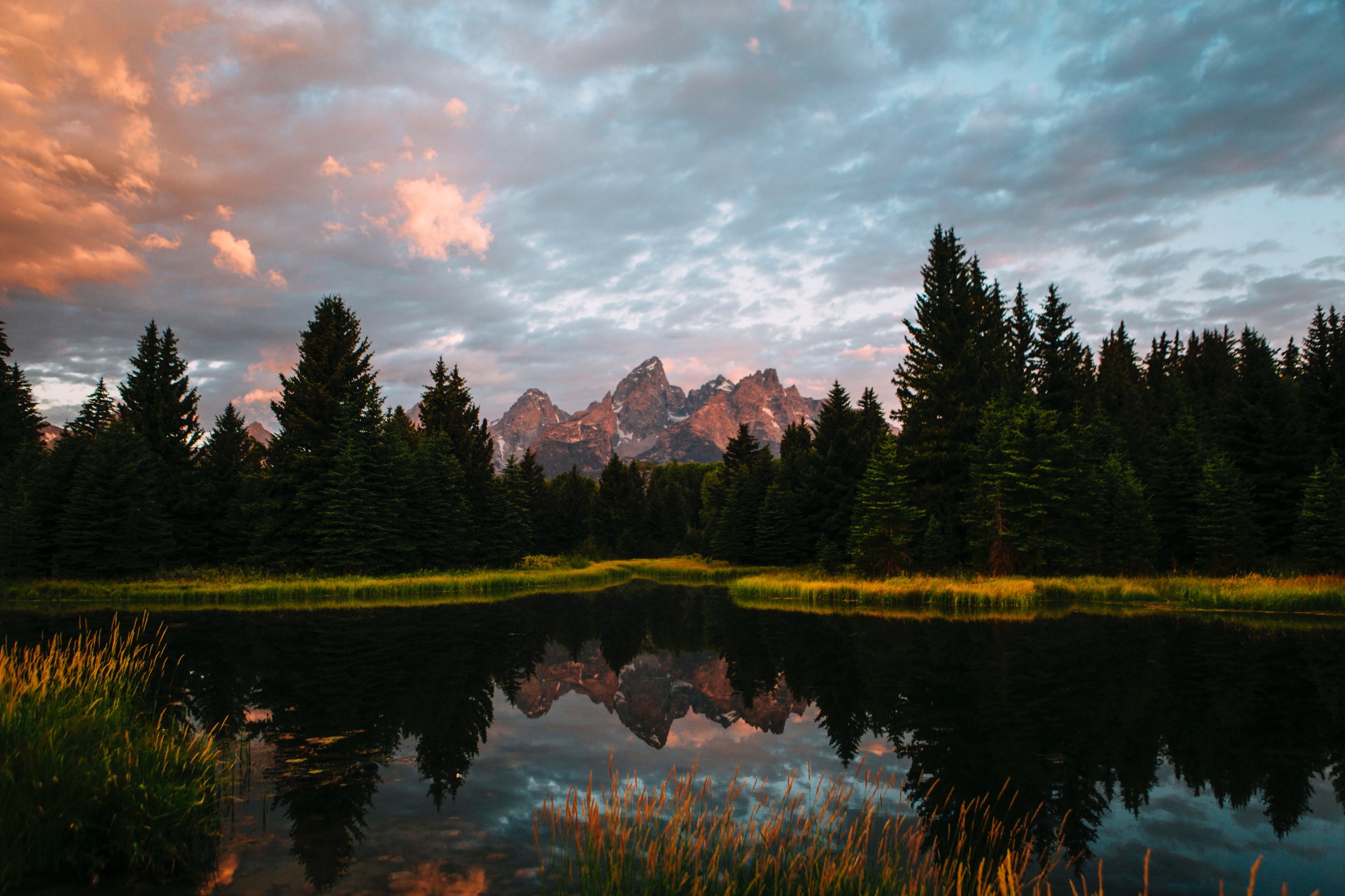 7B821F93-2A84-4B53-AB61-30A0B8FC1C79.JPG.jpeg