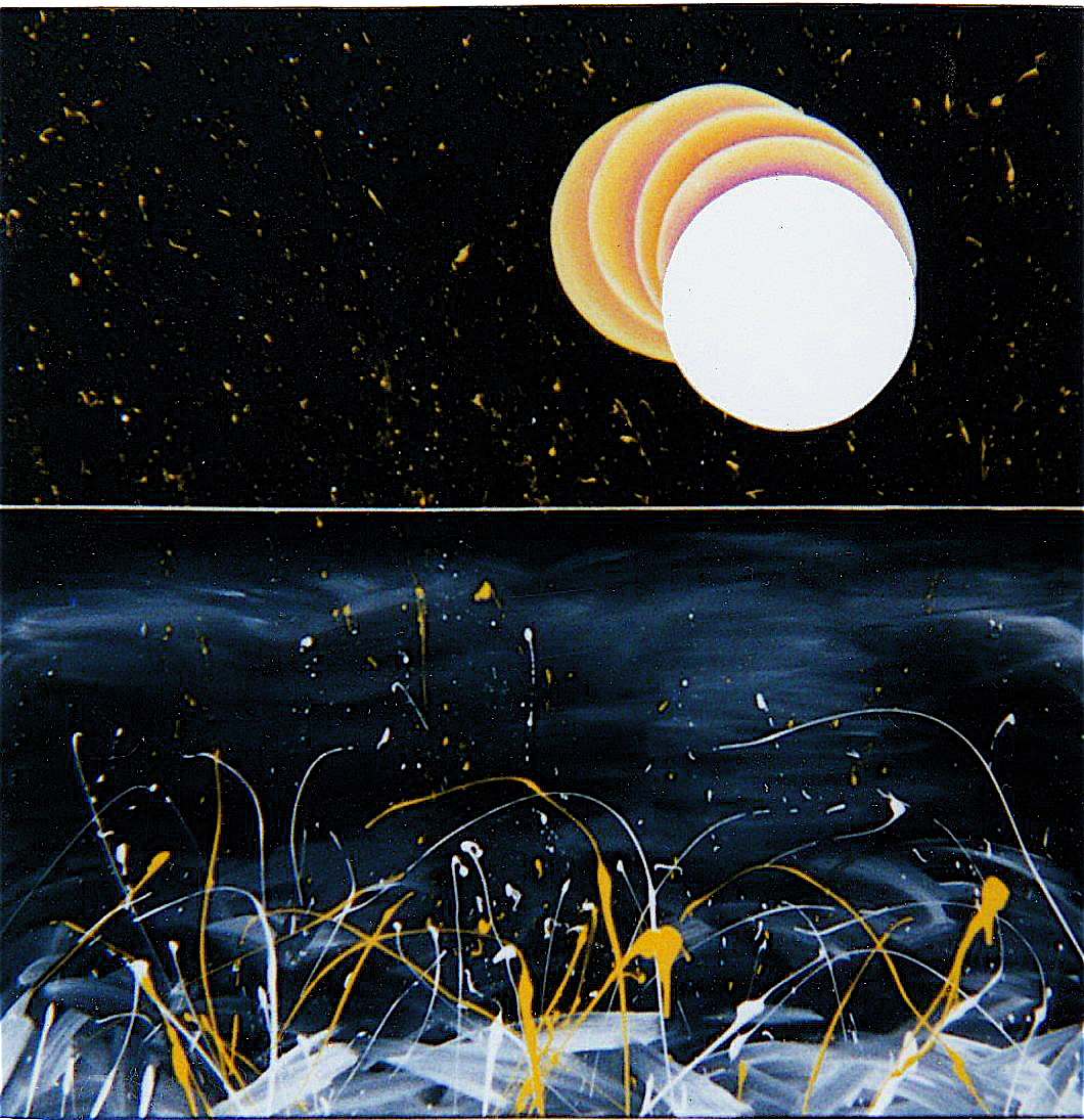 Moonlight on Bodega Bay.JPG