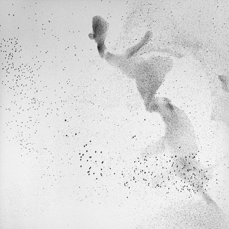 Richard Barnes - Foley Gallery