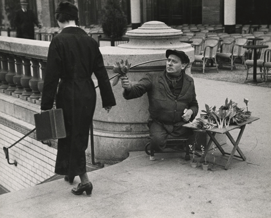 Andre Kertesz - Stephen Daiter Gallery