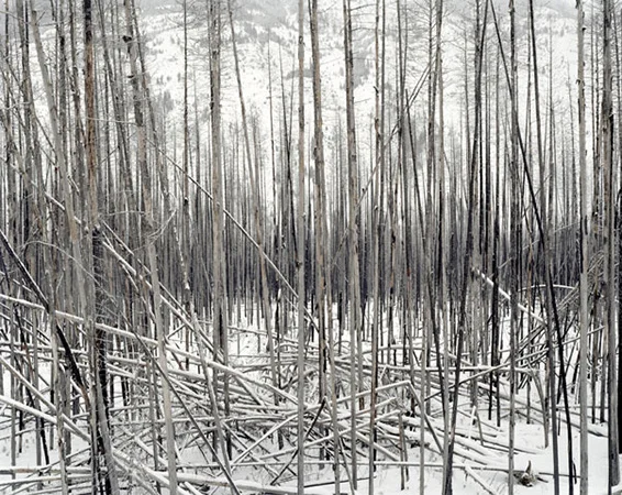David Nadel - Sasha Wolf Gallery