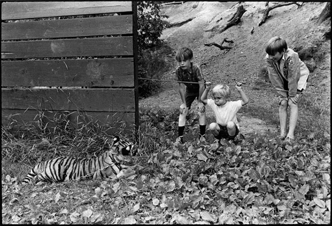 Jill Freedman - Higher Pictures