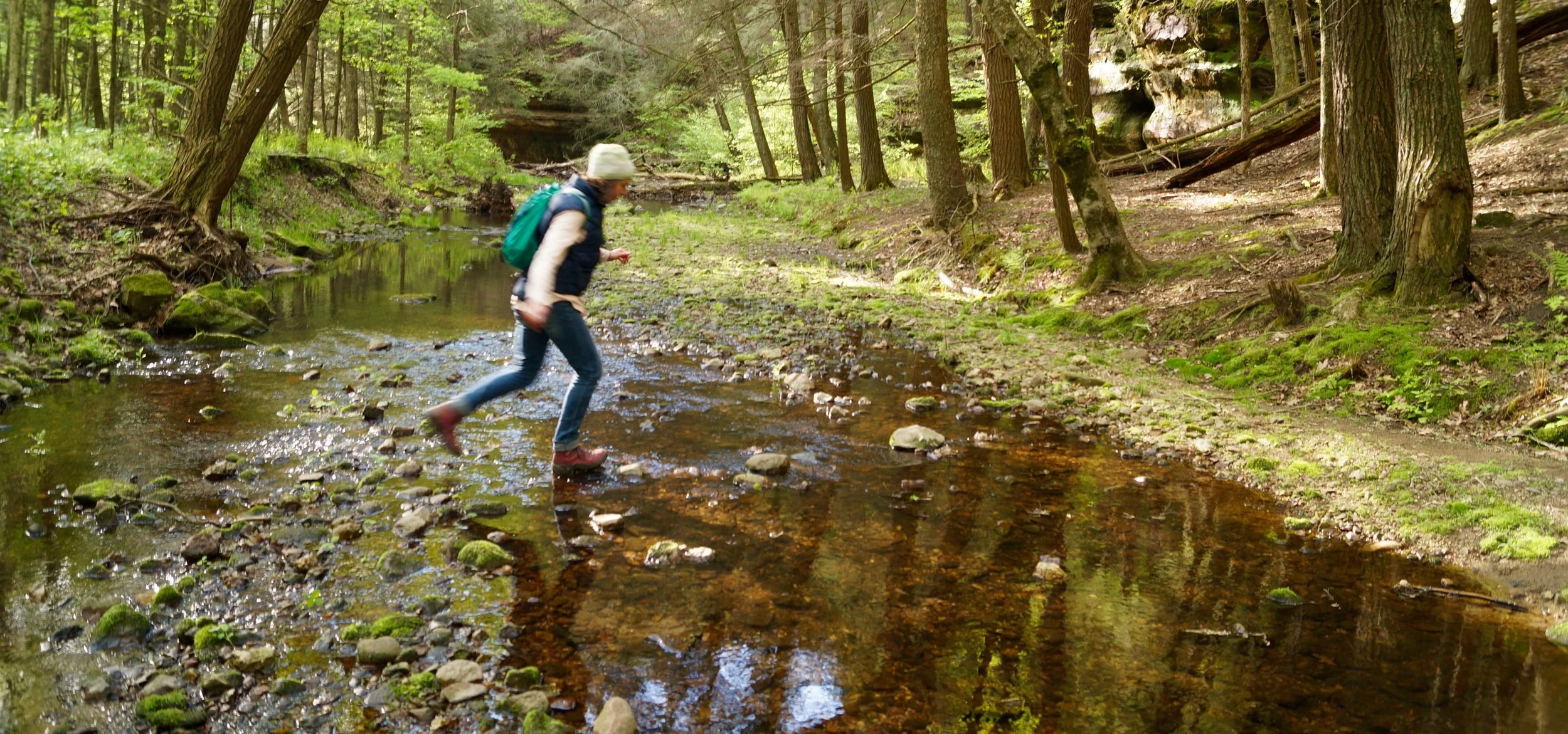 Gentle Walk and Art Lesson