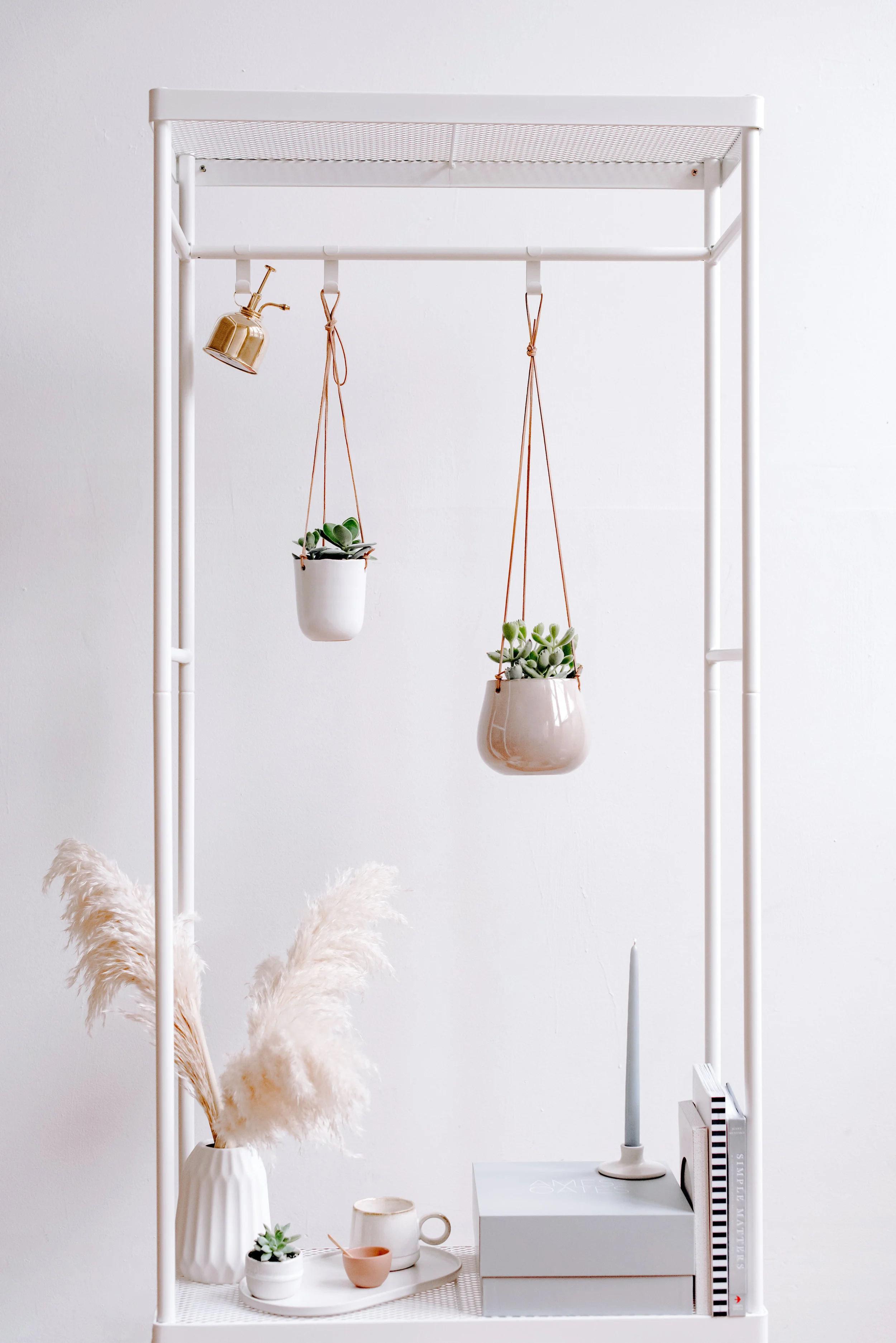 AO_SucculentLine_113 copy.jpg