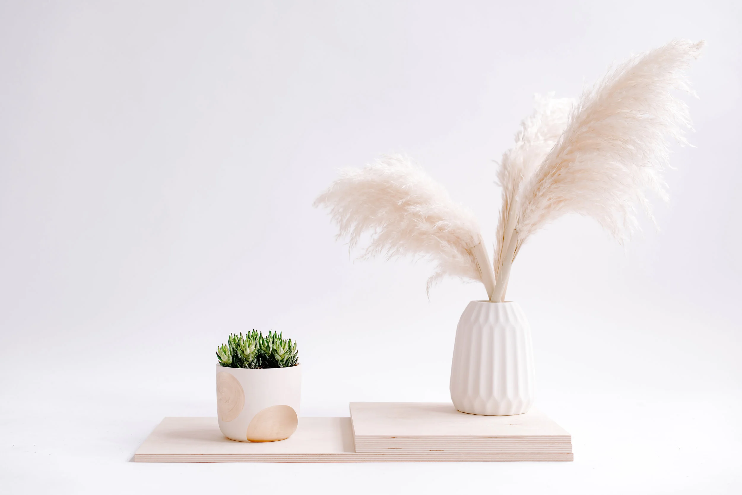 AO_SucculentLine_91.jpg