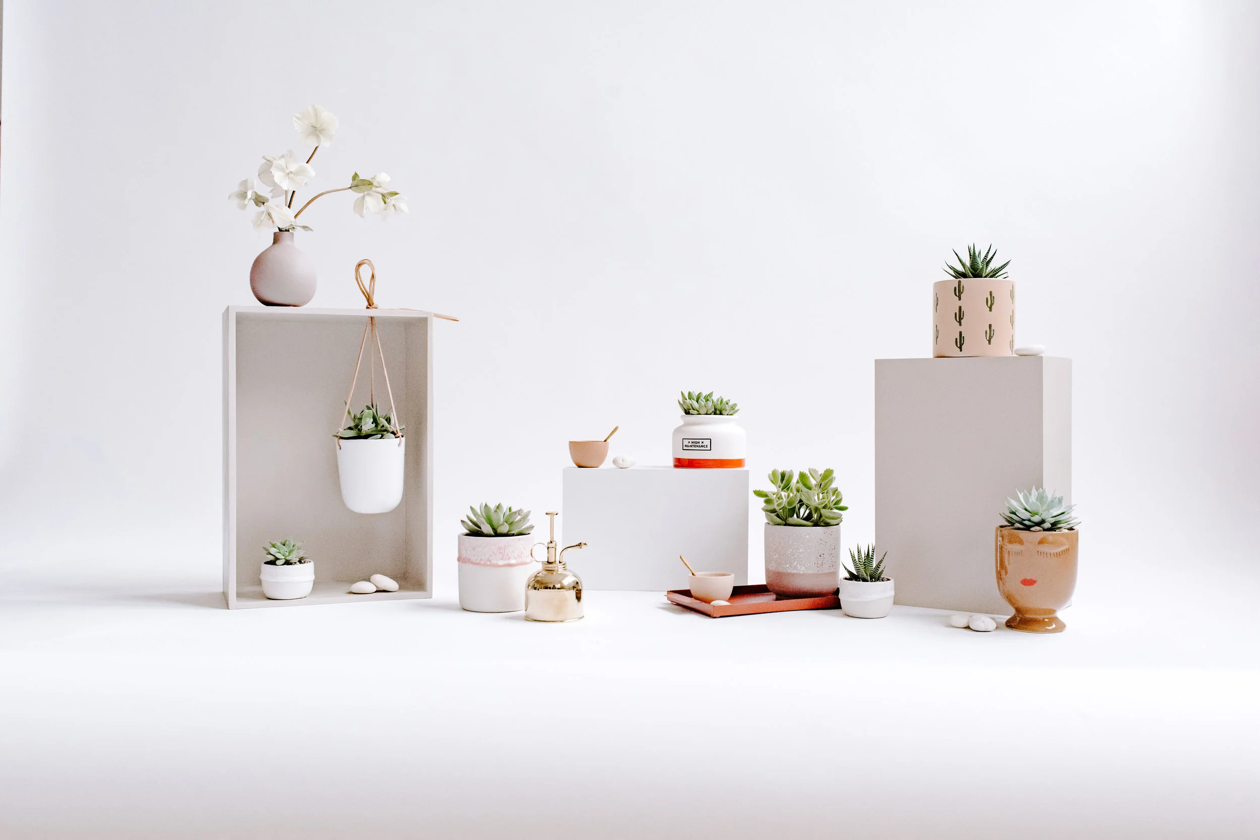 AO_SucculentLine_11.jpg