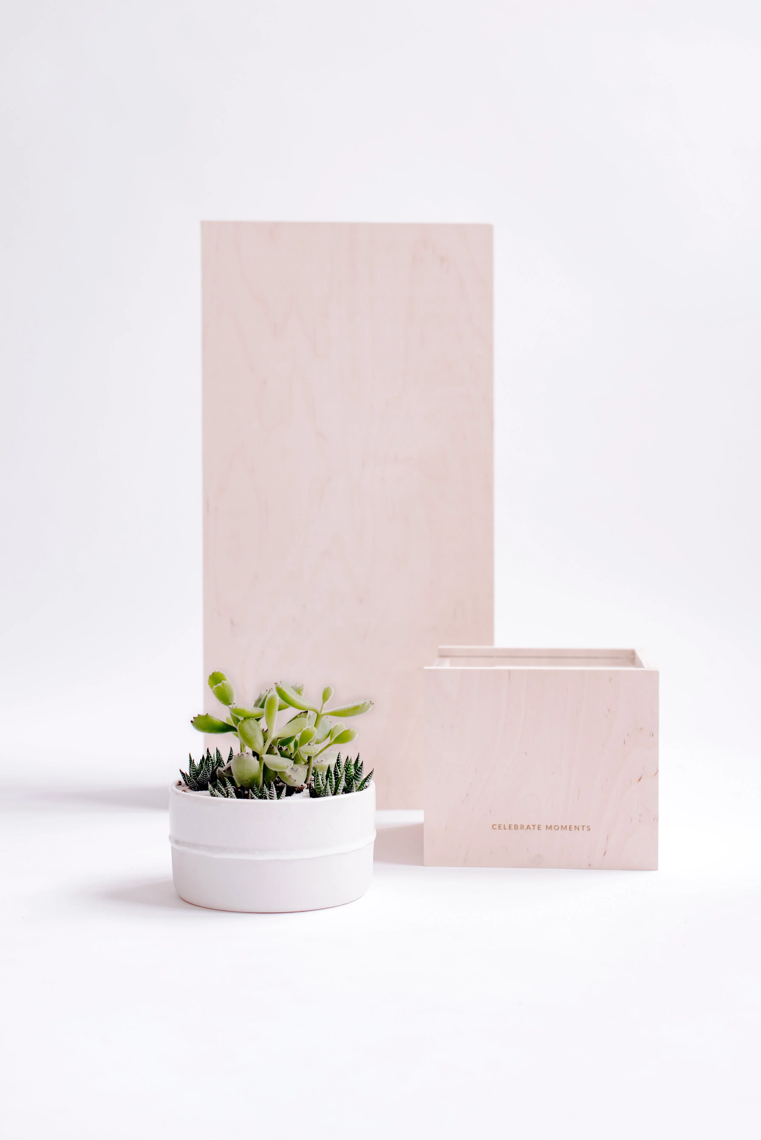 AO_SucculentLine_44.jpg