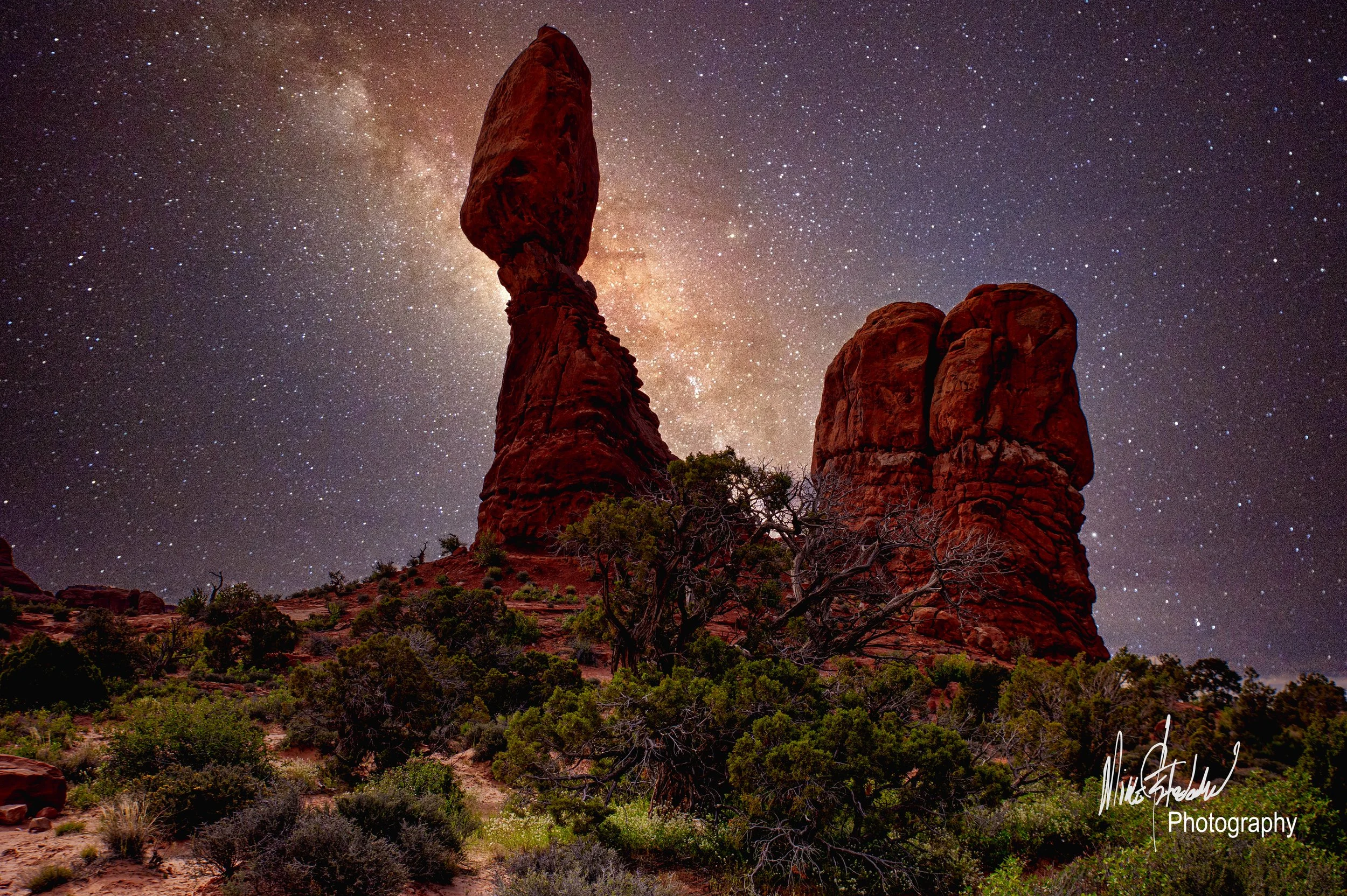 _NIK3103[1]ab copy.jpg