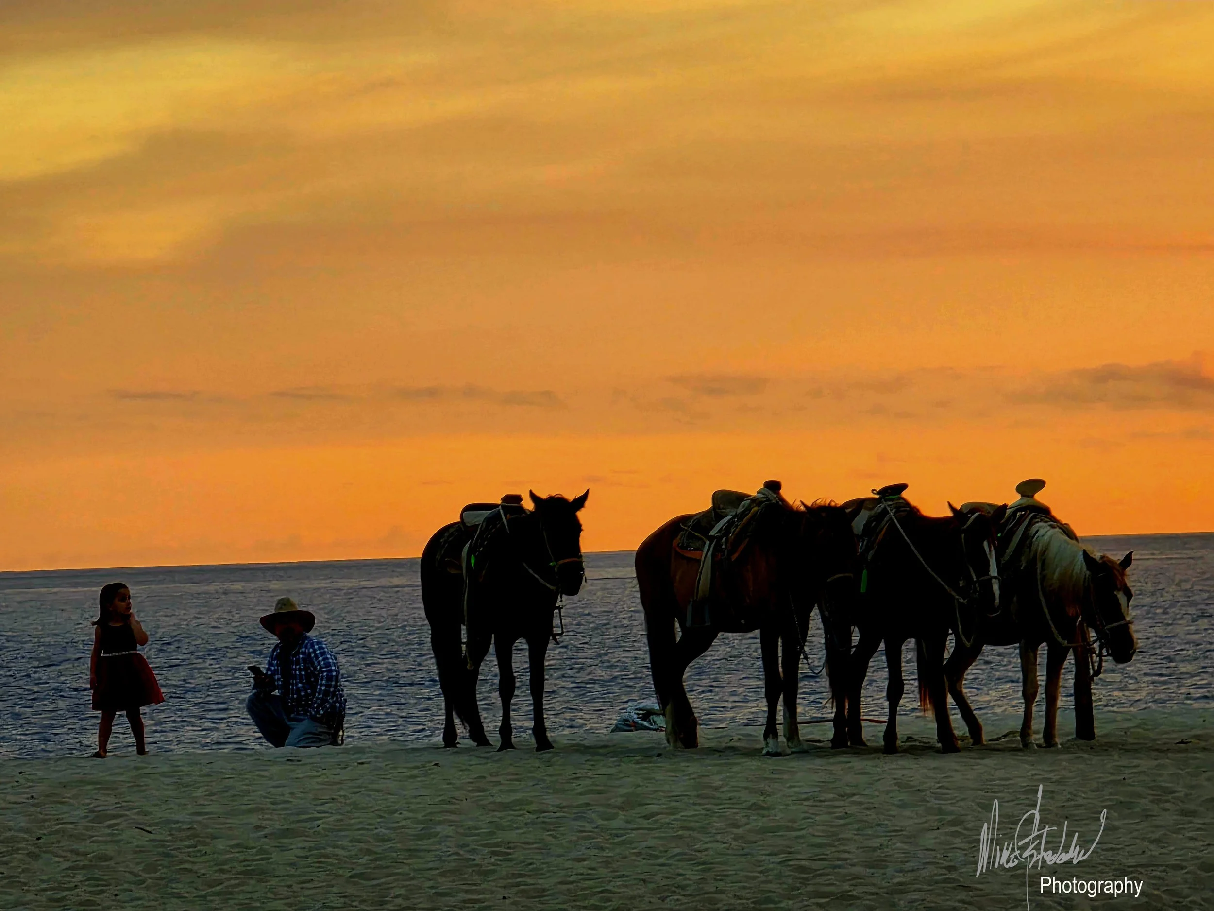 20260105_174424 copy.jpg