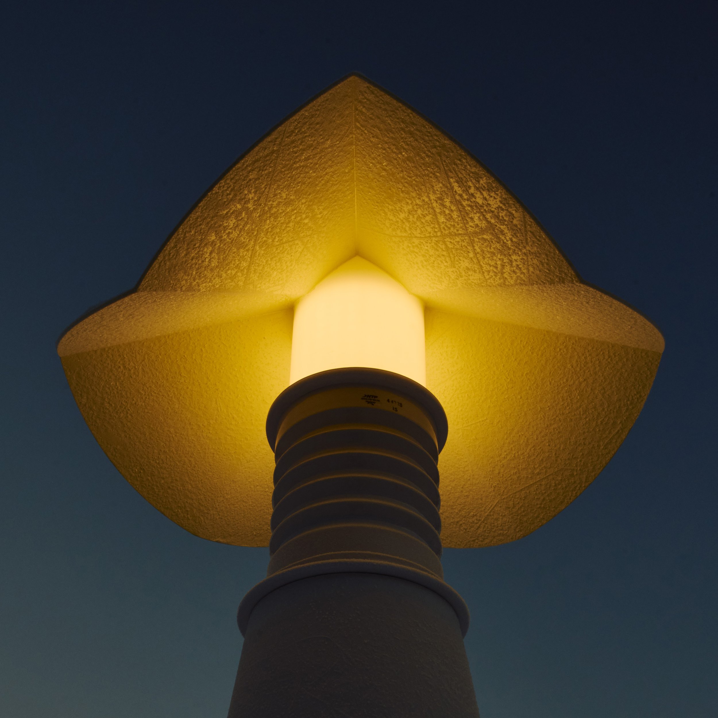 Alba_snø_AVE2724 kopi_squarelogo.jpg