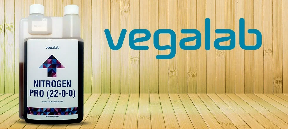vegalab, david selakovic