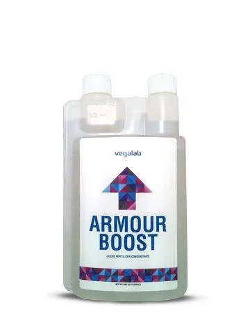 Armour Boost