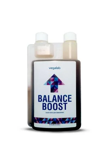 Balance Boost