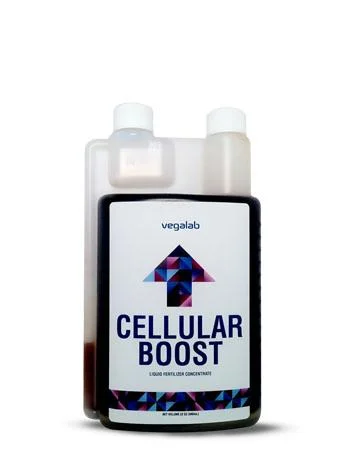 Cellular Boost