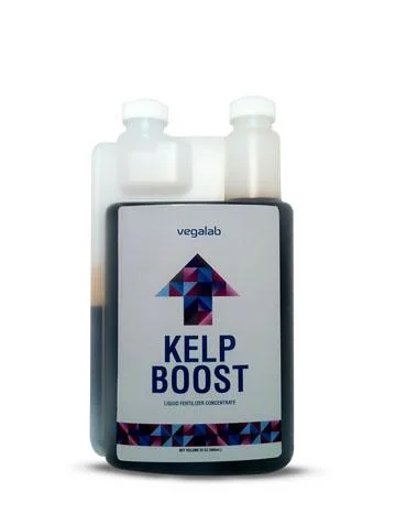 Kelp Boost