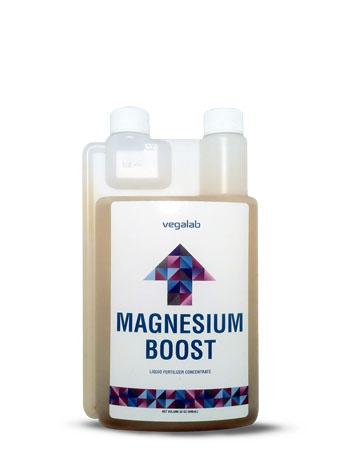 Magnesium Boost