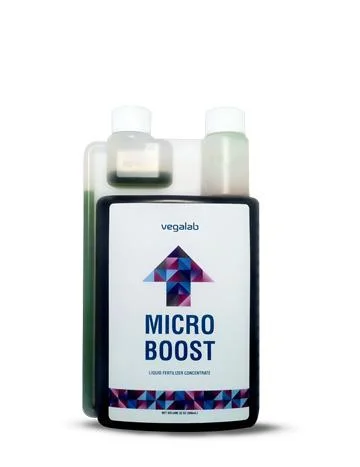 Micro Boost