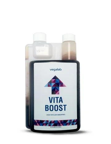 Vita Boost
