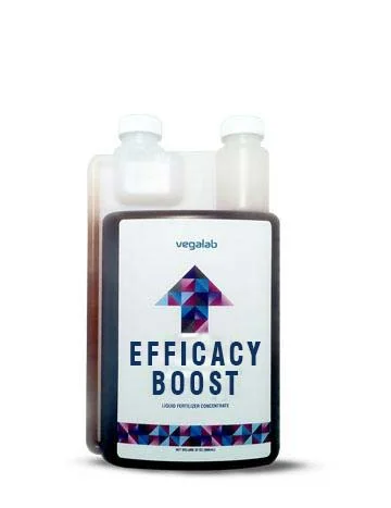 Efficacy Boost