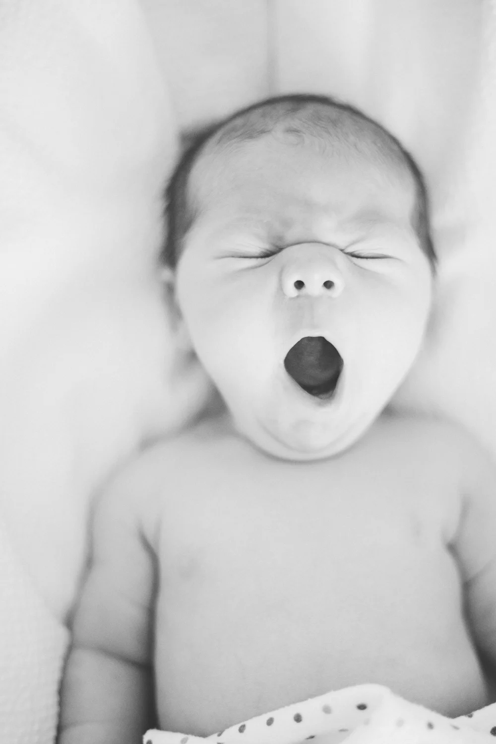 Baby Westgate_0525_0013-Edit.jpg