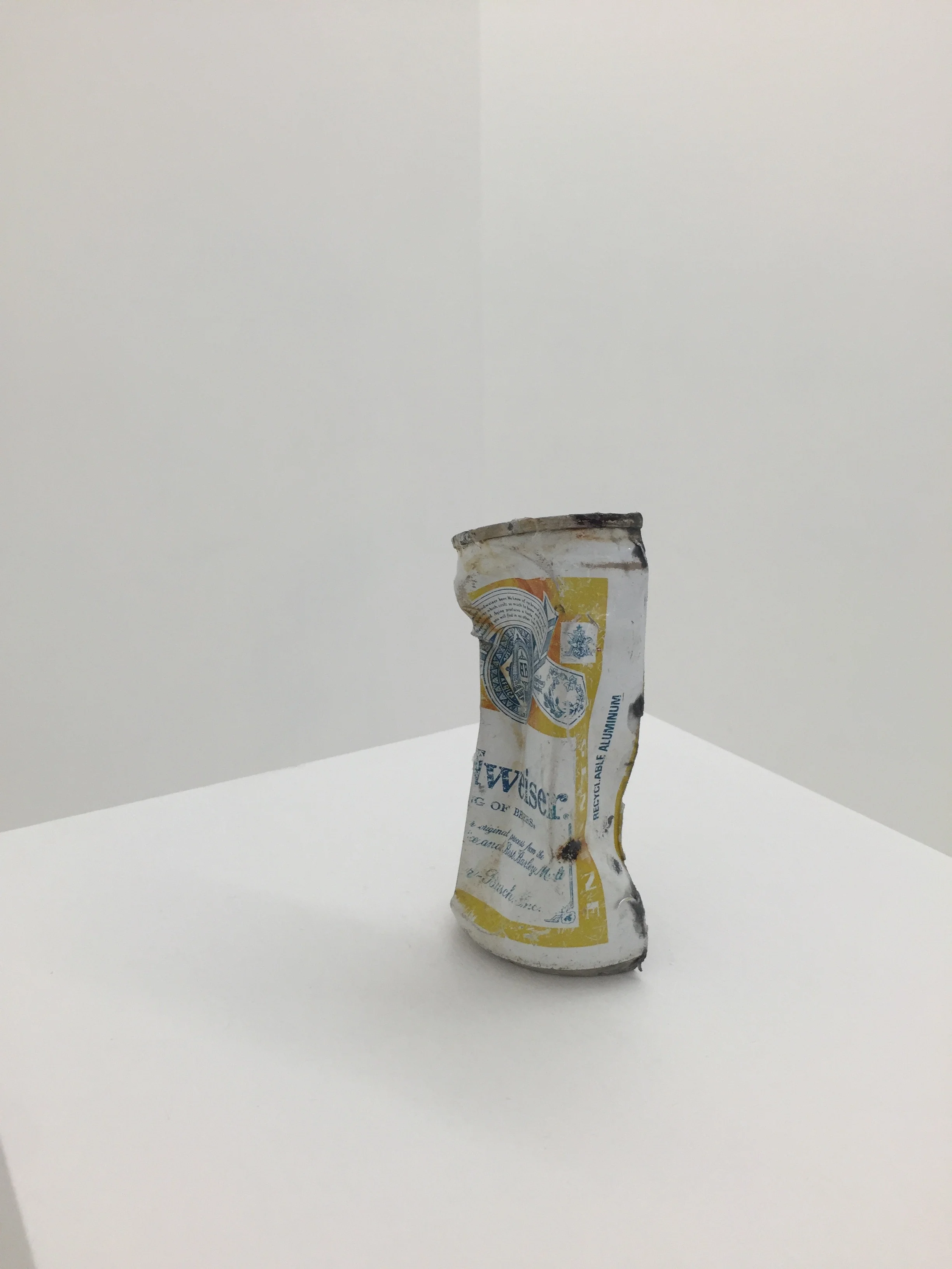 Kenneth Zoran Curwood, Budweiser, 2016