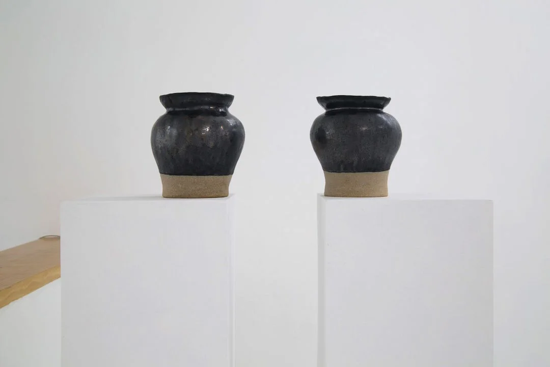 Kenneth Zoran Curwood, Vase Elieen I, Vase Elieen II, 2016