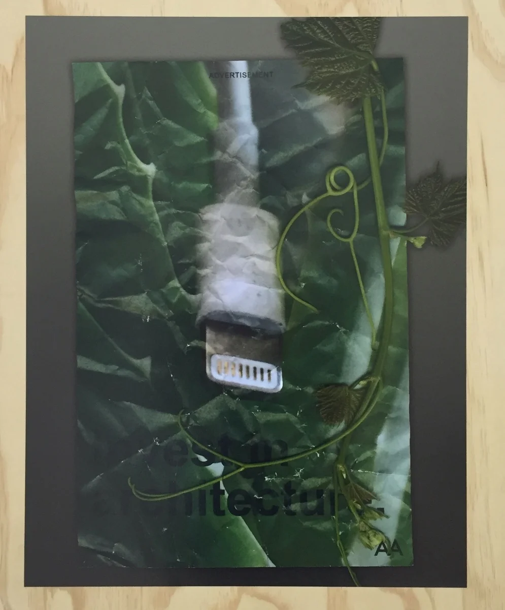 Adjustments Agency, Invest in Architecture, 2016