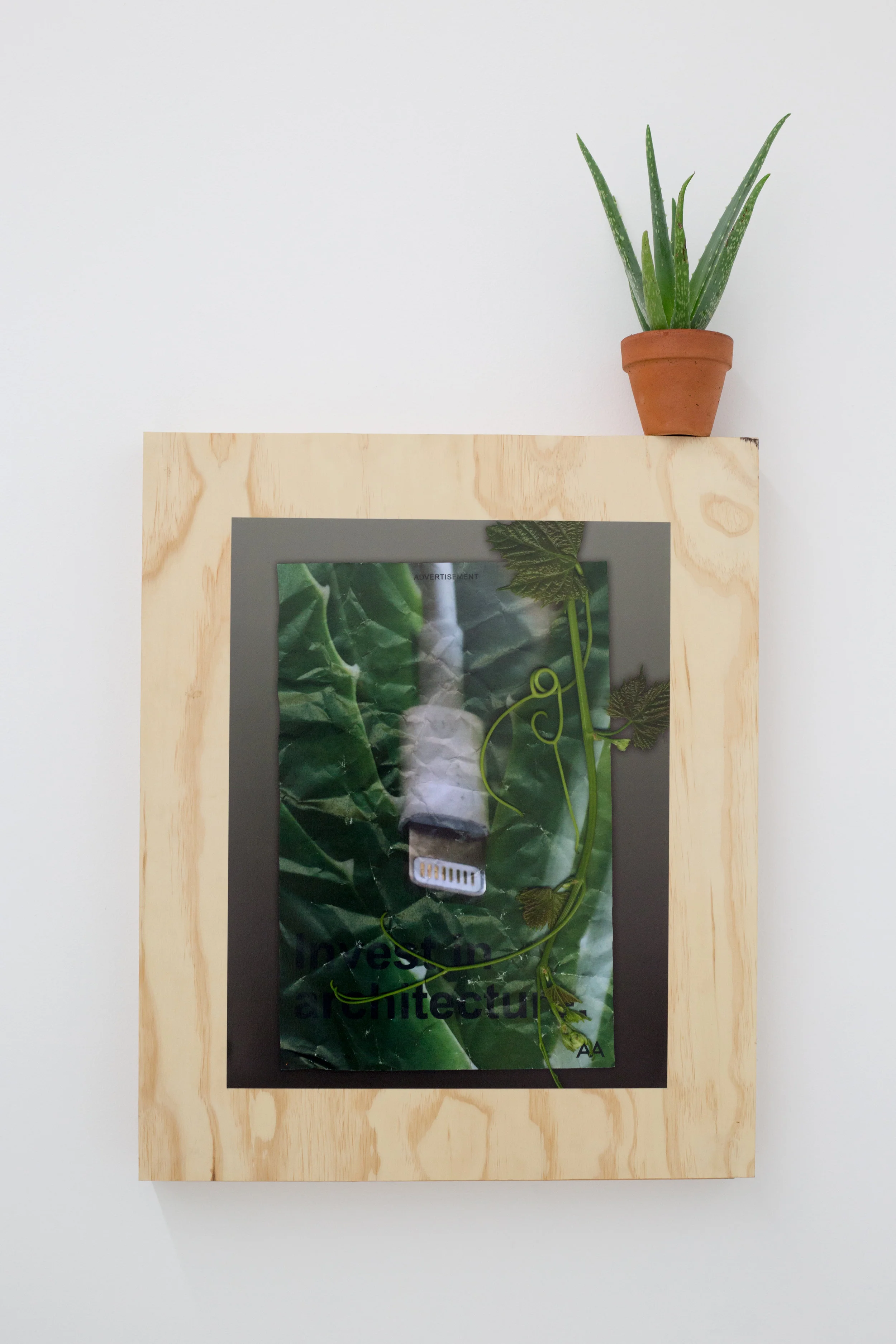 Installation View, Adjustments Agency, Invest in Architecture, 2016