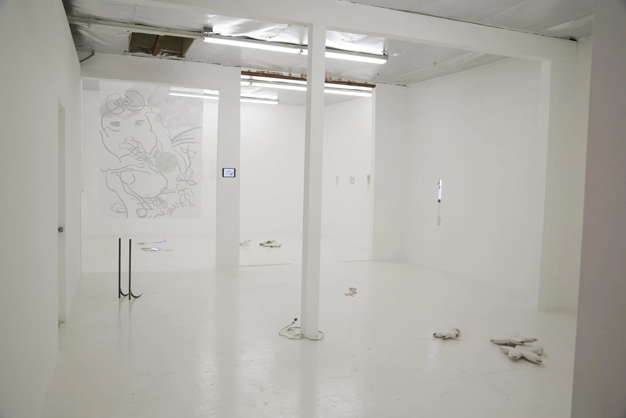 MAUVE, Installation View
