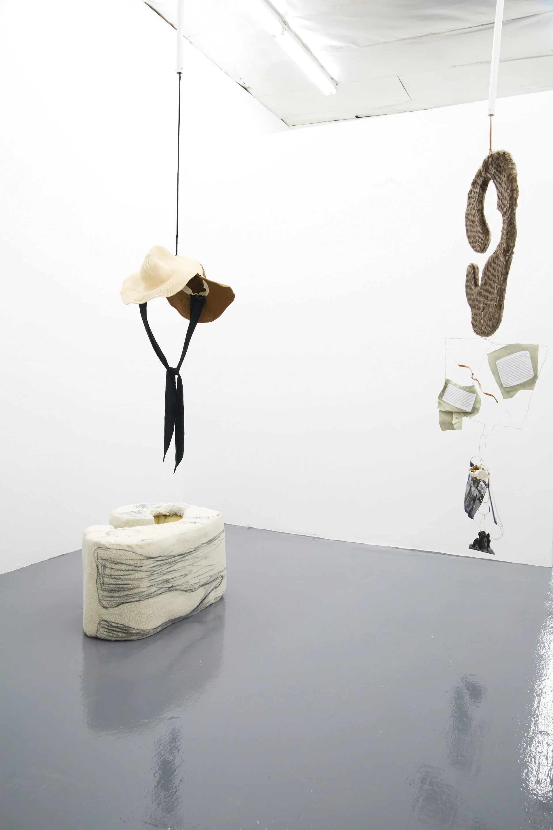 Amanda Horowitz, The hearing of Linda Taylor (1977) ringing in my ear (2017) , 2016-17