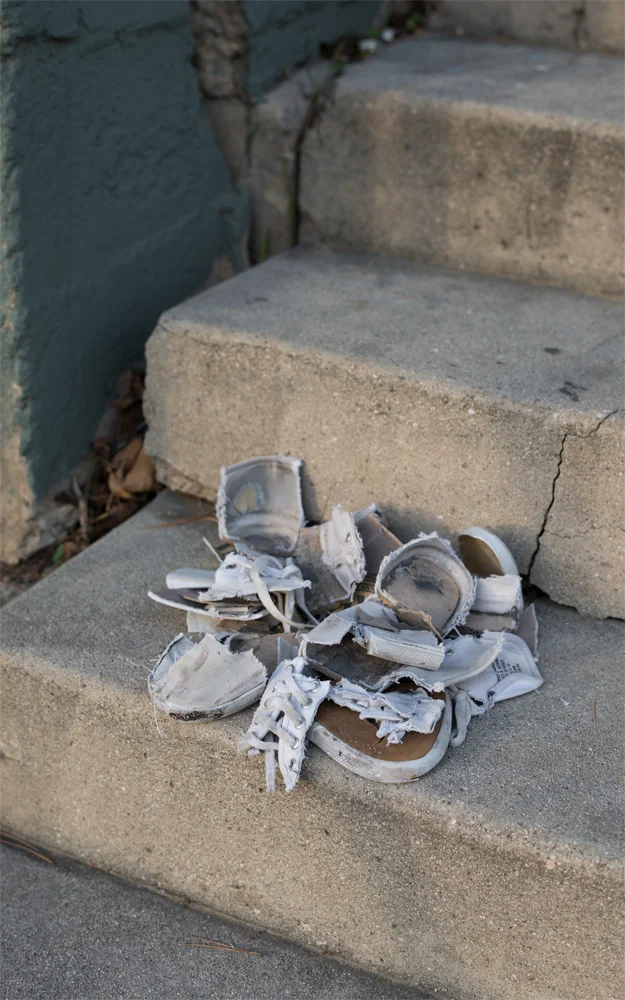 Derek Paul Boyle, Cut Up Shoe , 2017