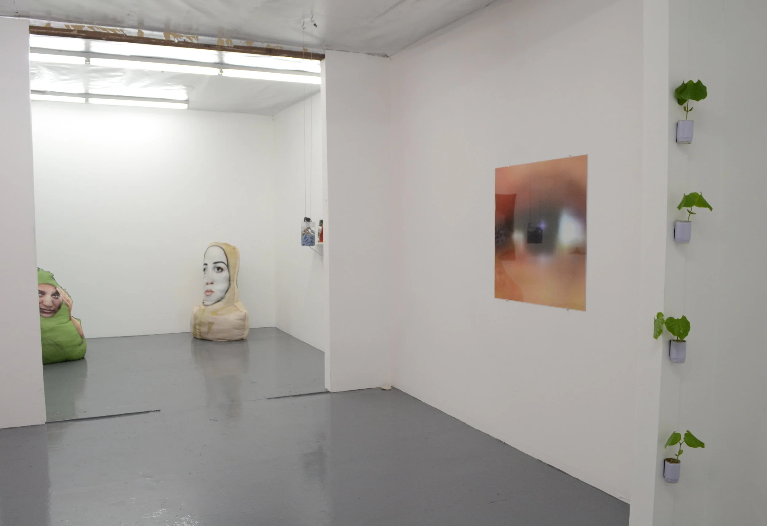   You Catch More Flies With Arsenic Than Honey , Installation View 