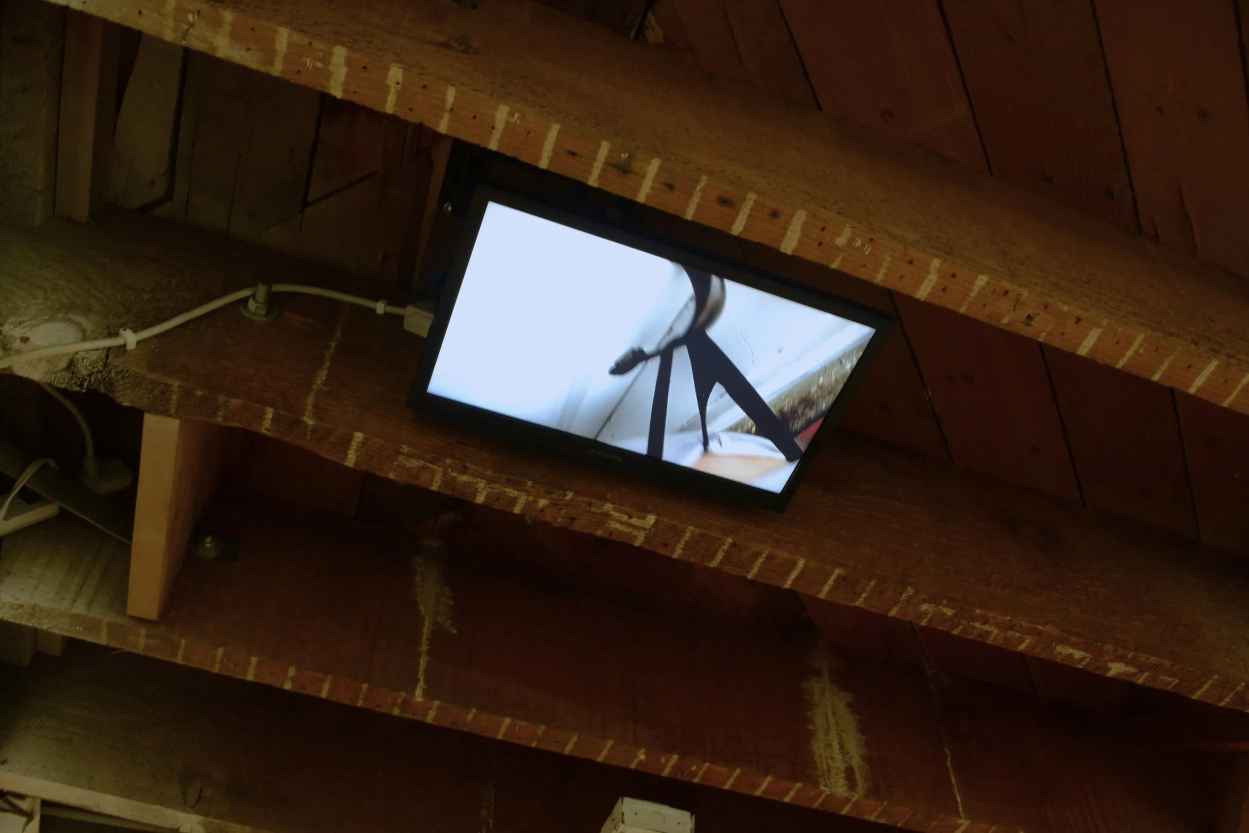   You Catch More Flies With Arsenic Than Honey , Installation View 