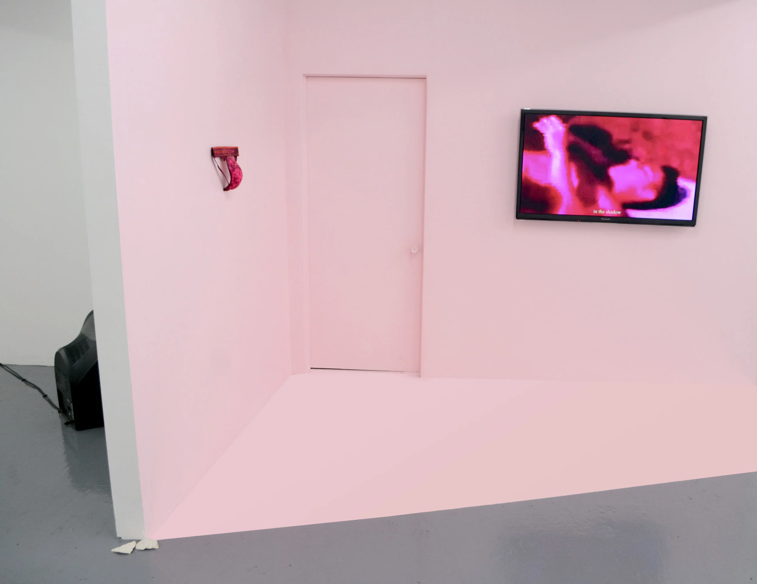 You Catch More Flies With Arsenic Than Honey , Installation View