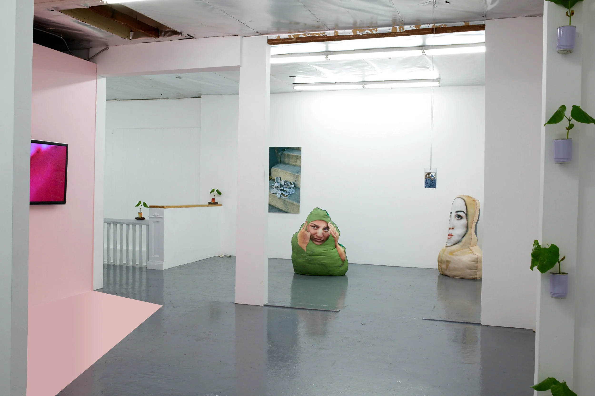 You Catch More Flies With Arsenic Than Honey , Installation View