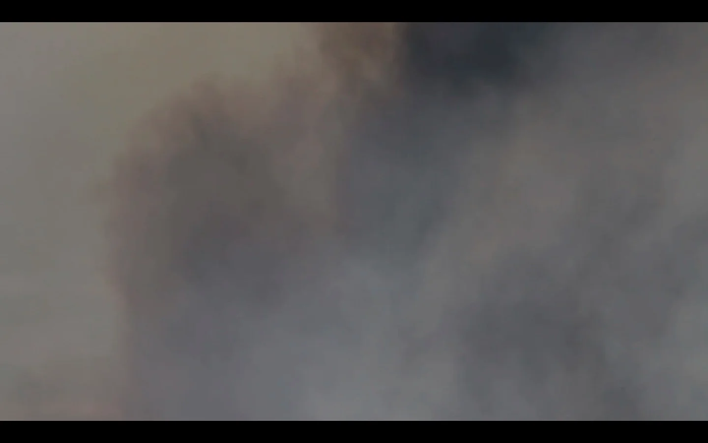 TO: everybody every non-body :WA (video still), 2018