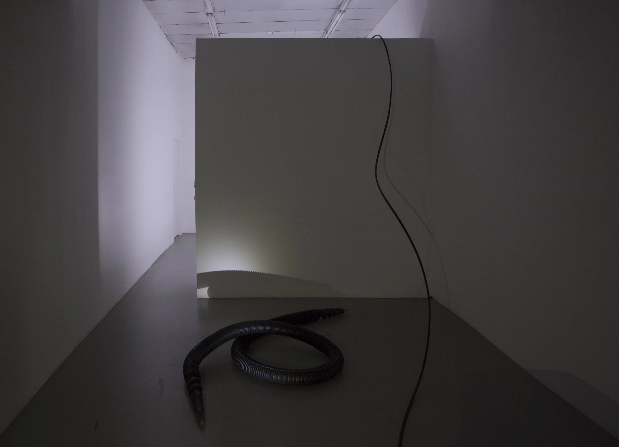 Canary for the Family , Installation View