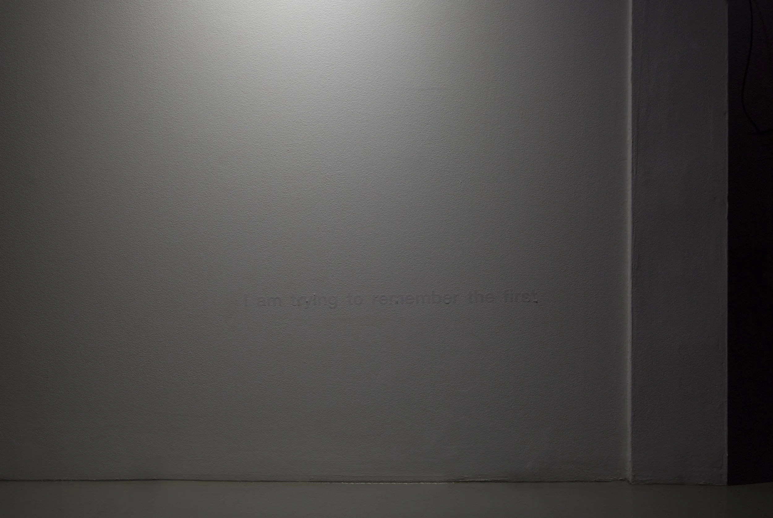 Canary for the Family , Installation View